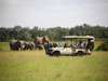 Olonana - Game Drive